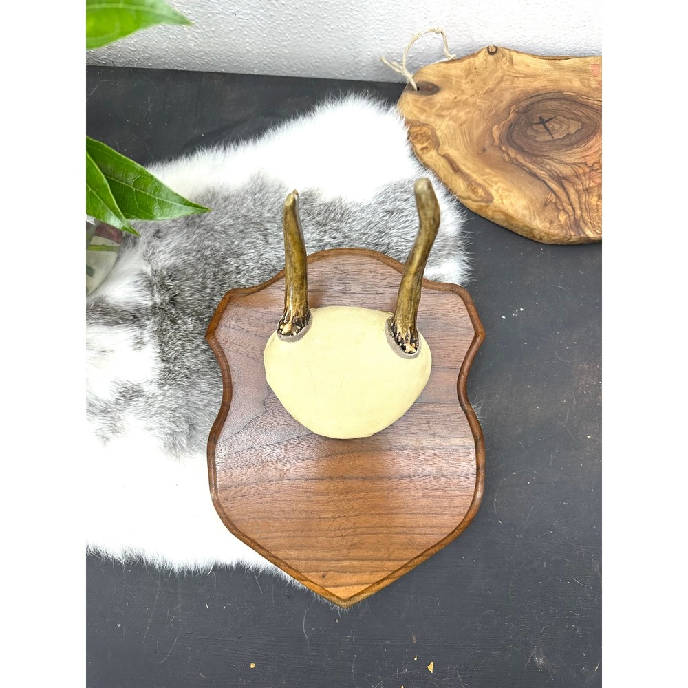 Vintage Whitetail Deer antler Mount buck wood‎ plaque Hunt Club country decor